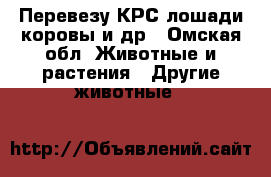 Перевезу КРС лошади коровы и др - Омская обл. Животные и растения » Другие животные   